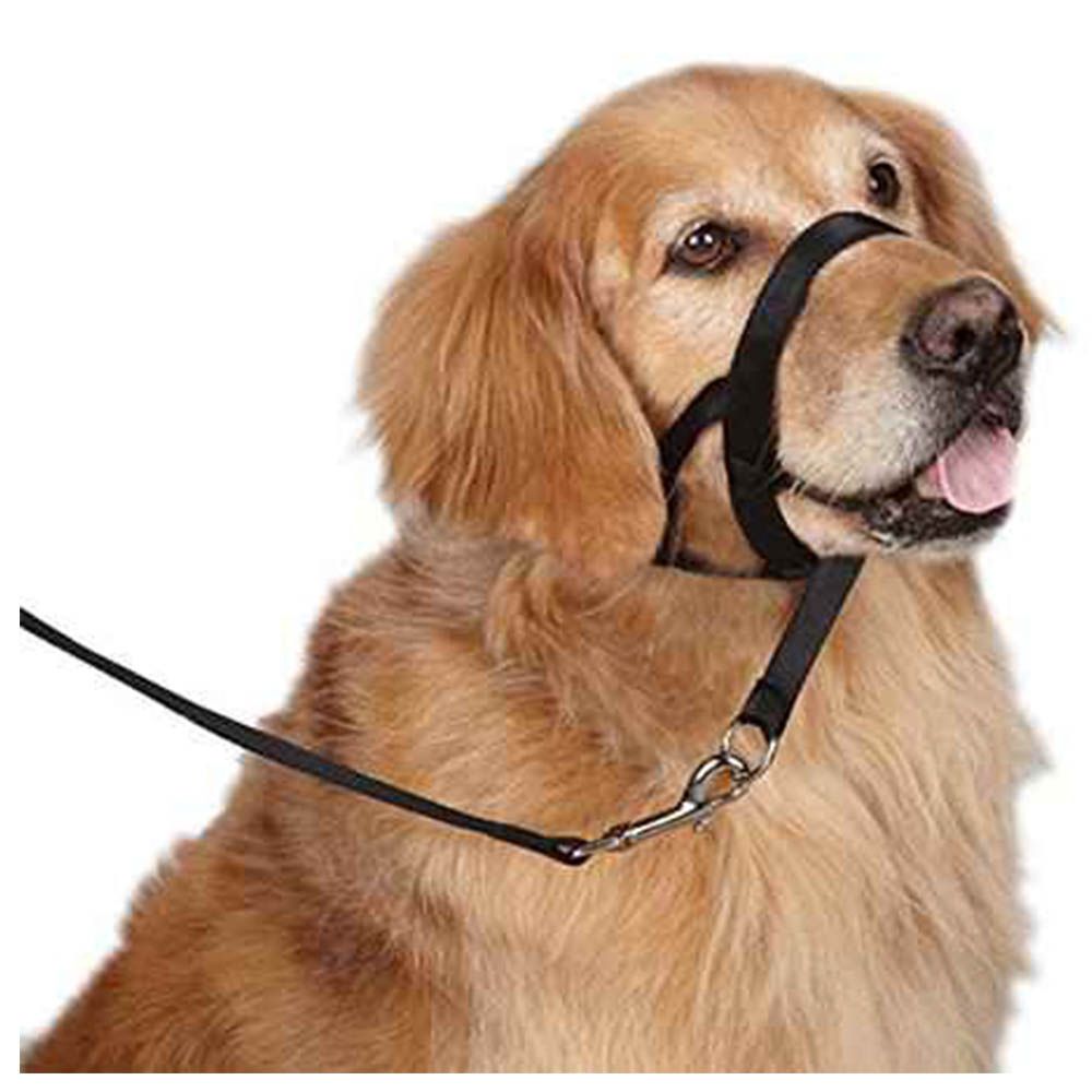 Clix 3 in 1 slip lead sale
